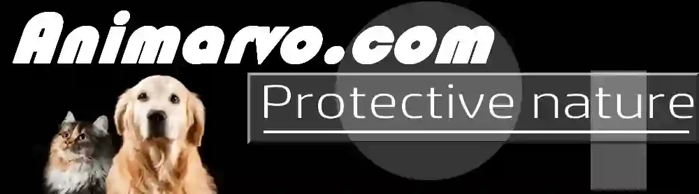 animarvo.com